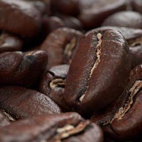 3D coffee beans model